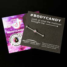 Load image into Gallery viewer, 14G Pink Gem Bee Beautiful Insect Industrial Barbell 38mm