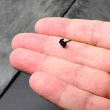 Load image into Gallery viewer, 20G 1/4 Purple Gem Black Chic Crab Nose Bone