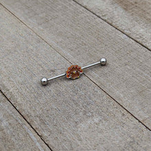 Load image into Gallery viewer, 14G Cute Colorful Turkey Thanksgiving Industrial Barbell 38mm