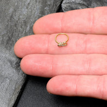 Load image into Gallery viewer, 20G 5/16 Clear Gem Gold Tone Luscious Lizard Nose Hoop