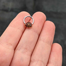 Load image into Gallery viewer, 16G 5/16 Sweet Tiny Turkey Thanksgiving Hinged Segment Ring