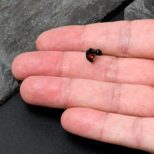 Load image into Gallery viewer, 16G 1/4 Red CZ Gem Black Scroll Moon Heart Cartilage Tragus Earring