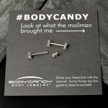 Load image into Gallery viewer, 14G 9/16 Easter Bunny Blue Red Ears Barbell Nipple Ring Set