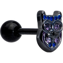 Load image into Gallery viewer, 16G 1/4 Purple Gem Black Opulent Owl Cartilage Tragus Earring