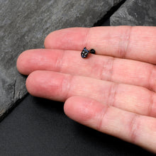 Load image into Gallery viewer, 16G 5/16 Purple Gem Black Opulent Owl Labret Monroe Tragus