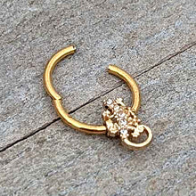 Load image into Gallery viewer, 16G 3/8 Clear Gem Gold Tone Luscious Lizard Hinged Segment Ring