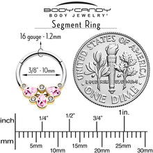 Load image into Gallery viewer, 16G 3/8 Pink Gem Golden Crown Deluxe Hinged Segment Ring