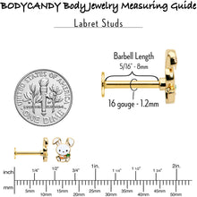 Load image into Gallery viewer, 16G 5/16 Gold Tone Cutie Easter Bunny Labret Monroe Tragus