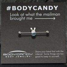 Load image into Gallery viewer, 14G Easter Egg Bunny Industrial Barbell 38mm