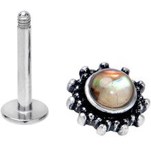 Load image into Gallery viewer, 16G 5/16 Brown Faux Shell Circle of Glam Labret Monroe Tragus