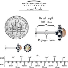 Load image into Gallery viewer, 16G 5/16 Brown Faux Shell Circle of Glam Labret Monroe Tragus