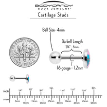 Load image into Gallery viewer, 16G 1/4 Loving Octopus Duo Cartilage Tragus Earring