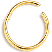 Load image into Gallery viewer, 20G 5/16 Gold PVD 316L Surgical Steel Double Precision Hinged Segment Ring
