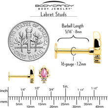 Load image into Gallery viewer, 16G 5/16 Pink CZ Gem Gold Tone Style Fire Labret Monroe Tragus