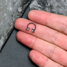 Load image into Gallery viewer, 16G 3/8 Aurora Gem Black Beauty Bug Horseshoe Circular Barbell