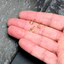 Load image into Gallery viewer, 20G 7mm Gold Tone Pretty Critters L Shape Nose Ring Set of 3