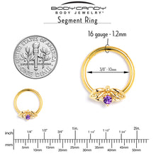 Load image into Gallery viewer, 16G 3/8 Purple Gem Gold Tone Beauty Bug Hinged Segment Ring