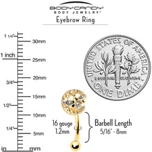 Load image into Gallery viewer, 16G 5/16 Clear Gem Gold Tone Lunar Dragonfly Curved Eyebrow Ring