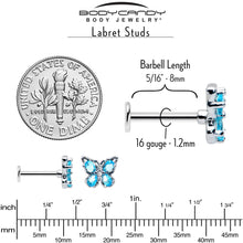 Load image into Gallery viewer, 16G 5/16 Blue Gem Baroque Butterfly Internally Threaded Labret