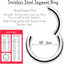 Load image into Gallery viewer, 16G 1/4 316L Surgical Steel Precision Hinged Segment Hoop
