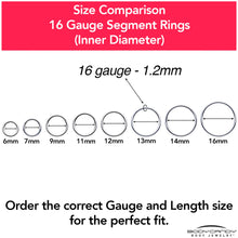 Load image into Gallery viewer, 16G 1/4 316L Surgical Steel Precision Hinged Segment Hoop