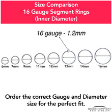 Load image into Gallery viewer, 16G 13mm 316L Surgical Steel Precision Hinged Segment Hoop