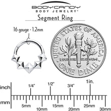 Load image into Gallery viewer, 16G 5/16 3D Punk Style Hinged Segment Ring