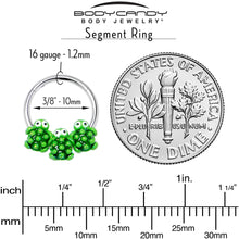 Load image into Gallery viewer, 16G 3/8 Texture Turtle Trio Hinged Segment Ring