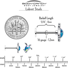 Load image into Gallery viewer, 16G 5/16 Glitter Turtle Labret Monroe Tragus