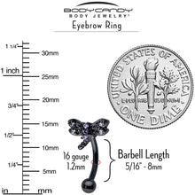 Load image into Gallery viewer, 16G 5/16 Purple CZ Gem Black Night Dragonfly Curved Eyebrow Ring
