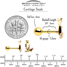 Load image into Gallery viewer, 16G 1/4 Clear CZ Gem Gold Tone Mom Baby Giraffes Cartilage Earring