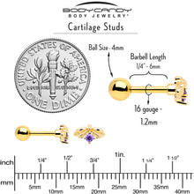 Load image into Gallery viewer, 16G 1/4 Purple Gem Gold Tone Beauty Bug Cartilage Tragus Earring