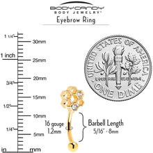 Load image into Gallery viewer, 16G 5/16 Clear CZ Gold Tone Bee Hive Luv Curved Eyebrow Ring Set of 2