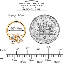 Load image into Gallery viewer, 16G 3/8 Clear CZ Gem Gold Tone Bee Hive Luv Hinged Segment Ring