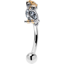 Load image into Gallery viewer, 16G 5/16 Clear Gem Evening Owl Curved Eyebrow Ring