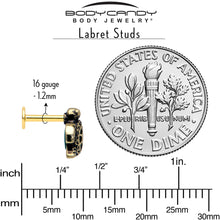 Load image into Gallery viewer, 16G Sea Turtle Flat Back Earring Set Internally Threaded 3 Pack