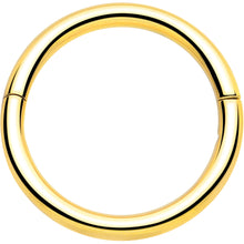 Load image into Gallery viewer, 20G Implant Grade Titanium Half Closure Hinged Segment Ring