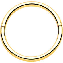 Load image into Gallery viewer, 20G Implant Grade Titanium Half Closure Hinged Segment Ring