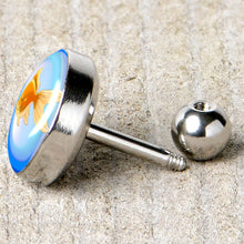 Load image into Gallery viewer, 16G 1/4 Gold Fish Cartilage Tragus Earring by Onyx O