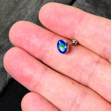 Load image into Gallery viewer, 16G 1/4 Pufferfish Cartilage Tragus Earring by Onyx O