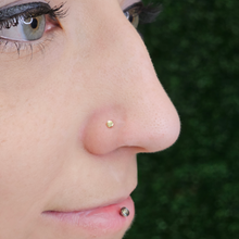 Load image into Gallery viewer, 20G Solid 14k Gold Flat Disc Nose Bone