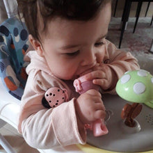 Load image into Gallery viewer, Baby Pacifier Fresh Food Kids Fruit Feeder Nipples Feeding Safe Baby Supplies Nipple Pacifier Holder