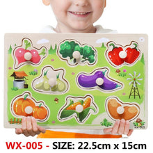 Load image into Gallery viewer, New Hand Grab Board Wooden Puzzle Toys for Children Cartoon Animal Fruit Kids Baby Early Educational Learning Toy