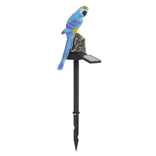 Load image into Gallery viewer, Decorative LED Garden Waterproof Yard Lamp In Shape Of Parrot Outdoor Resin Solar Lights For Pathway Doorway Lawn
