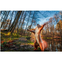 Load image into Gallery viewer, Puzzle 1000 Pieces AdultPaper Puzzle For Educational Toys 1000 Pieces New Puzzle World Popular Travel Desitnation Toy For Children Great for Gift
