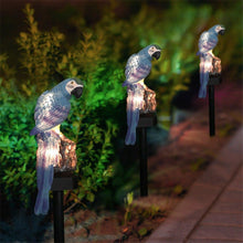 Load image into Gallery viewer, Decorative LED Garden Waterproof Yard Lamp In Shape Of Parrot Outdoor Resin Solar Lights For Pathway Doorway Lawn