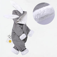 Load image into Gallery viewer, Elegant Baby Clothes Rompers Jumpsuits Newborn Cartoon Little Bee Rabbit Ears Zipper Clothes Cotton Jackets For Kids