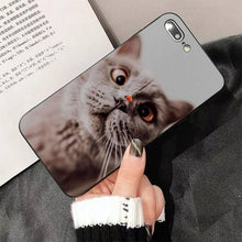 Load image into Gallery viewer, Cute Cat Black Phone Case For IPhone 13 8 7 6 6S Plus X 5 5S SE 2020 XR 11 Pro XS MAX Slim Fit Soft Print Design Flexible Silicone Cover For iPhone
