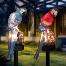 Load image into Gallery viewer, Decorative LED Garden Waterproof Yard Lamp In Shape Of Parrot Outdoor Resin Solar Lights For Pathway Doorway Lawn
