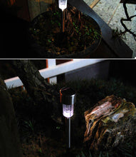 Load image into Gallery viewer, Garden Premium LED Solar Luxury Stainless Steel Lights For Yard Pathway Walkway More Pieces Outdoor